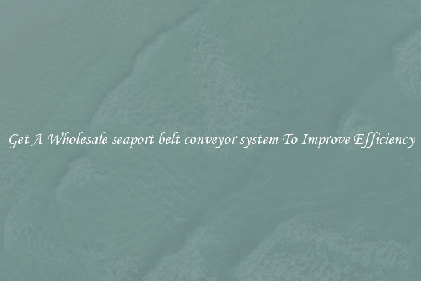 Get A Wholesale seaport belt conveyor system To Improve Efficiency