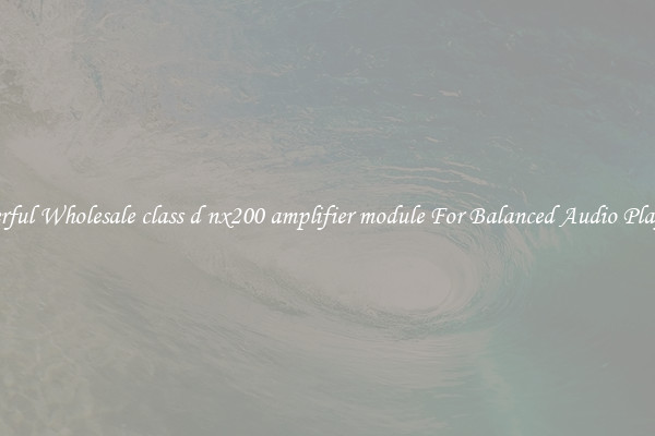 Powerful Wholesale class d nx200 amplifier module For Balanced Audio Playback