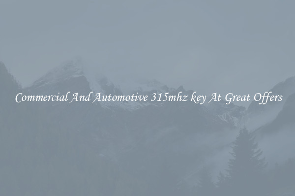 Commercial And Automotive 315mhz key At Great Offers