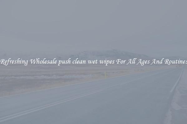 Refreshing Wholesale push clean wet wipes For All Ages And Routines