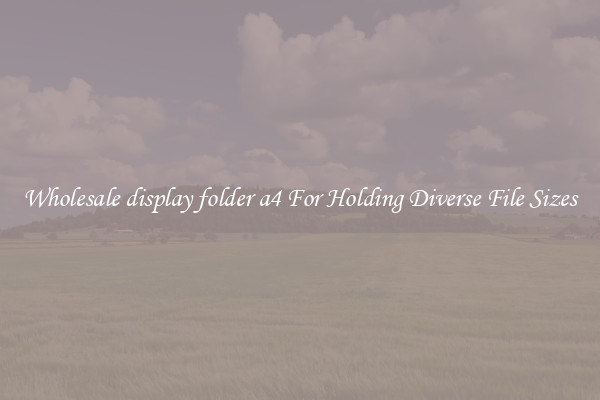Wholesale display folder a4 For Holding Diverse File Sizes
