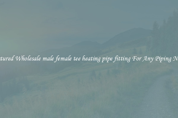 Featured Wholesale male female tee heating pipe fitting For Any Piping Needs