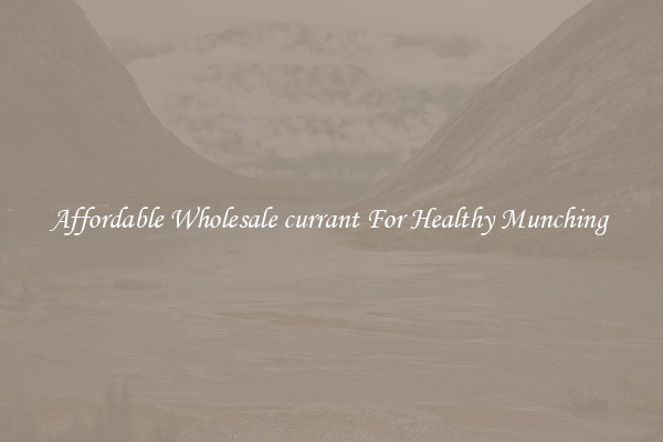 Affordable Wholesale currant For Healthy Munching 