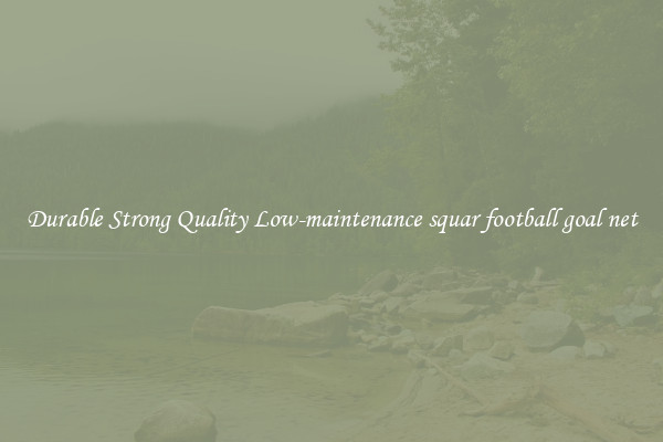 Durable Strong Quality Low-maintenance squar football goal net