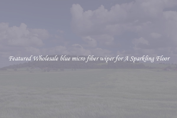 Featured Wholesale blue micro fiber wiper for A Sparkling Floor