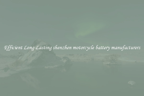 Efficient Long-Lasting shenzhen motorcycle battery manufacturers