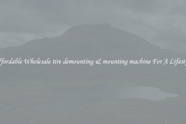 Affordable Wholesale tire demounting & mounting machine For A Lifestyle