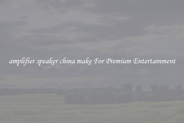 amplifier speaker china make For Premium Entertainment