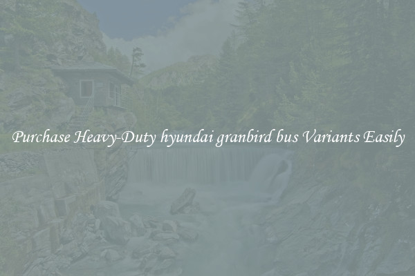 Purchase Heavy-Duty hyundai granbird bus Variants Easily