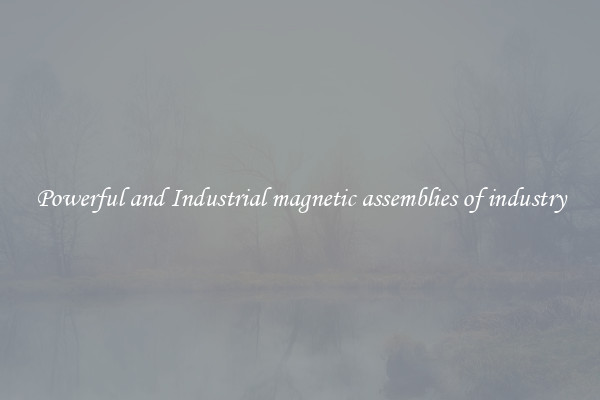 Powerful and Industrial magnetic assemblies of industry