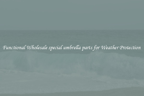 Functional Wholesale special umbrella parts for Weather Protection 