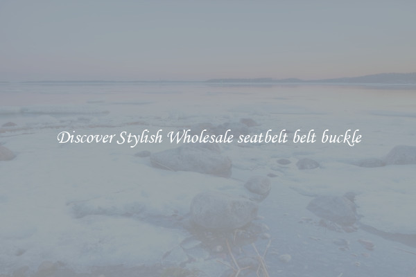 Discover Stylish Wholesale seatbelt belt buckle